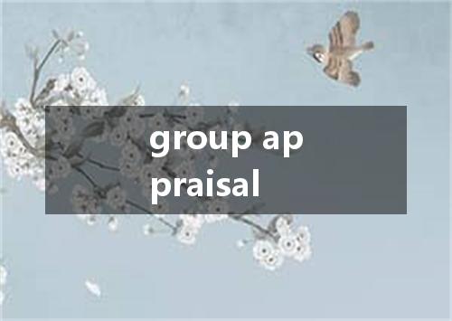 group appraisal是什么意思
