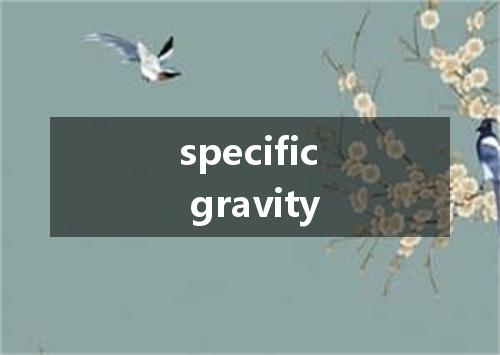 specific gravity是什么意思