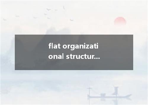 flat organizational structure是什么意思