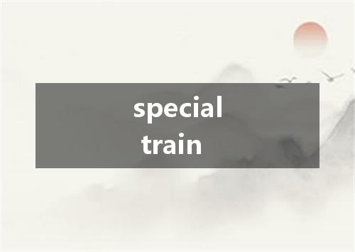 special train是什么意思