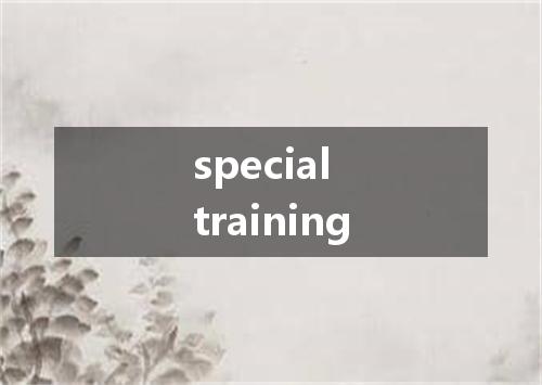 special training是什么意思