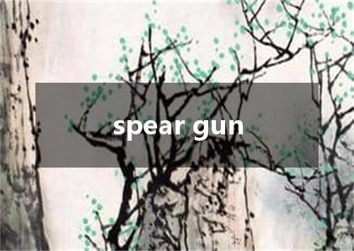 spear gun是什么意思