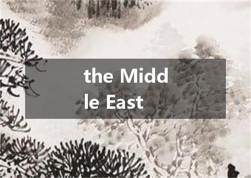 the Middle East是什么意思
