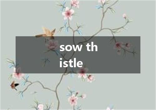 sow thistle是什么意思