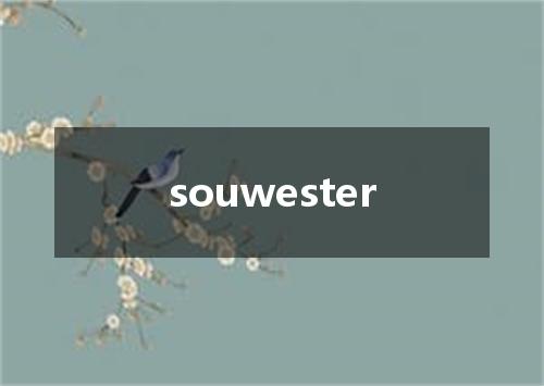souwester是什么意思