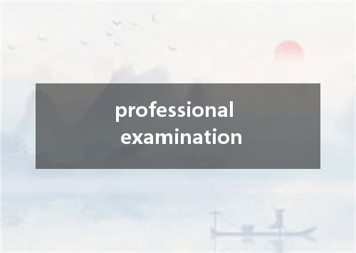 professional examination是什么意思