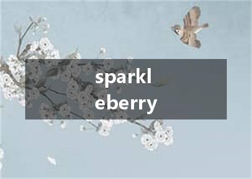 sparkleberry是什么意思