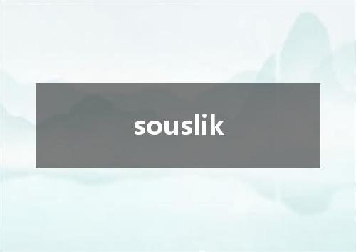 souslik是什么意思