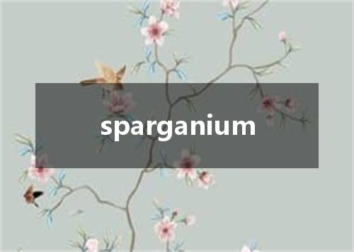 sparganium是什么意思