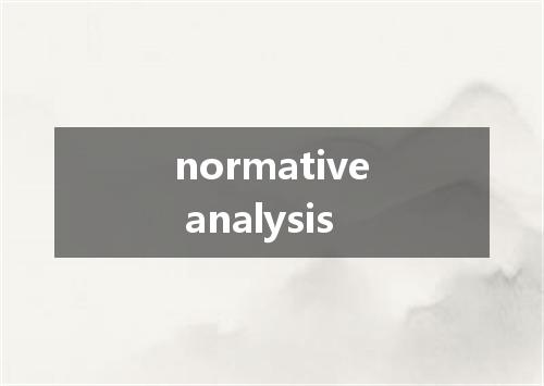 normative analysis是什么意思