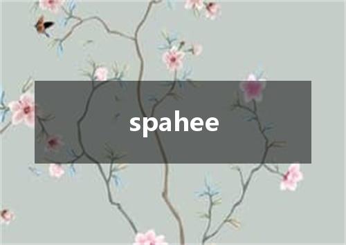 spahee是什么意思