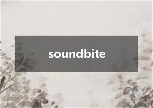 soundbite是什么意思