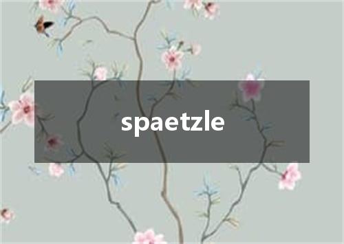 spaetzle是什么意思