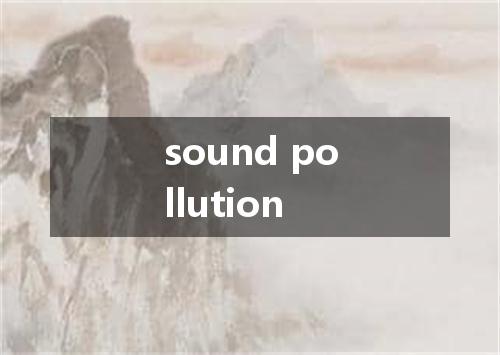 sound pollution是什么意思