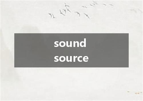 sound source是什么意思