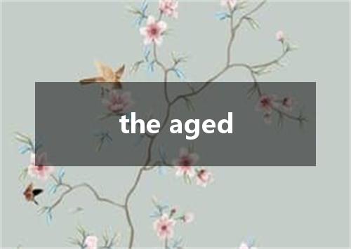 the aged是什么意思