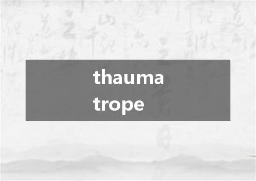 thaumatrope是什么意思