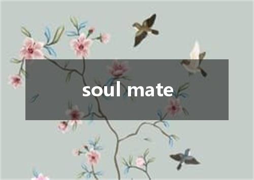 soul mate是什么意思