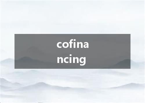 cofinancing是什么意思