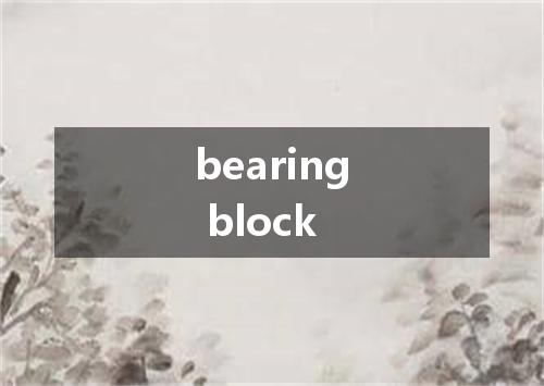 bearing block是什么意思