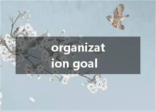 organization goal是什么意思