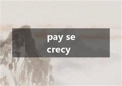 pay secrecy是什么意思