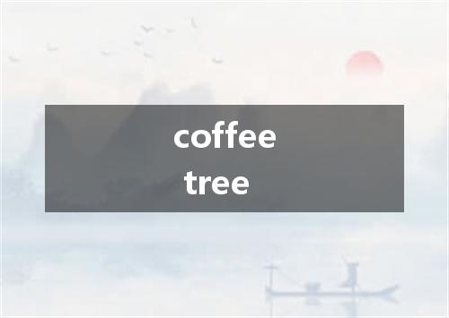 coffee tree是什么意思
