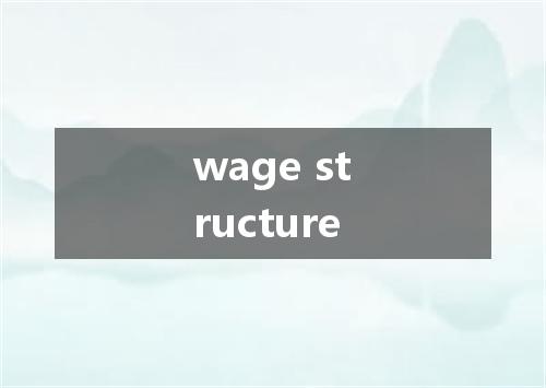 wage structure是什么意思