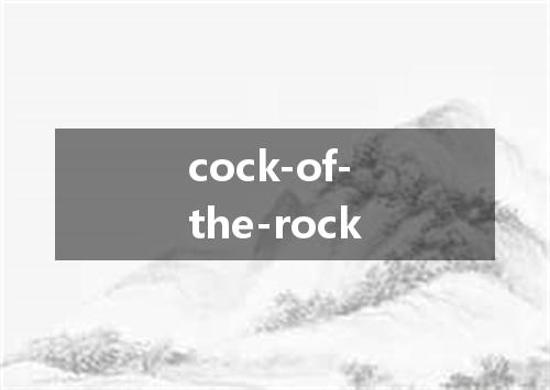cock-of-the-rock是什么意思