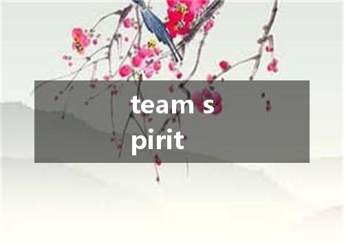 team spirit是什么意思