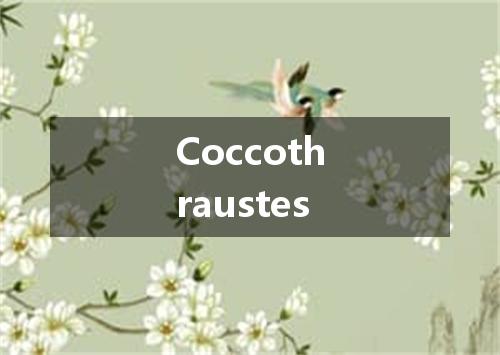 Coccothraustes是什么意思