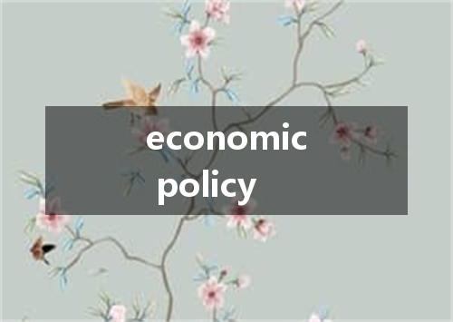 economic policy是什么意思