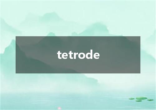 tetrode是什么意思