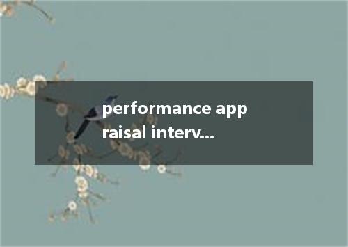 performance appraisal interview是什么意思