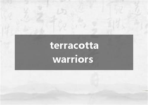 terracotta warriors是什么意思