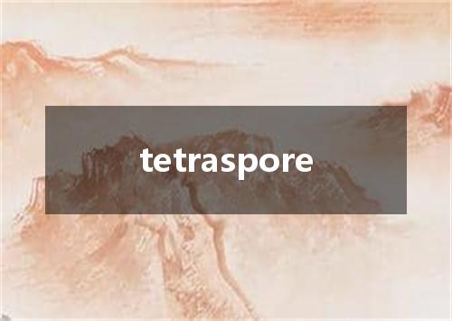 tetraspore是什么意思
