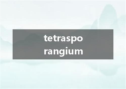 tetrasporangium是什么意思