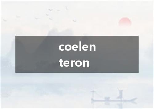 coelenteron是什么意思