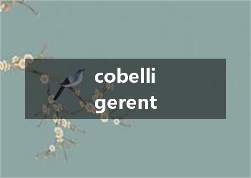 cobelligerent是什么意思