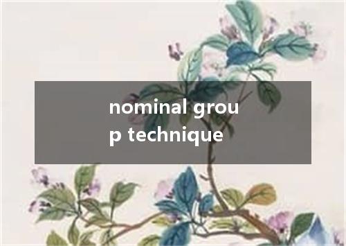 nominal group technique是什么意思