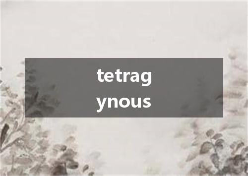 tetragynous是什么意思