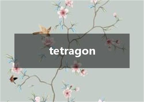 tetragon是什么意思