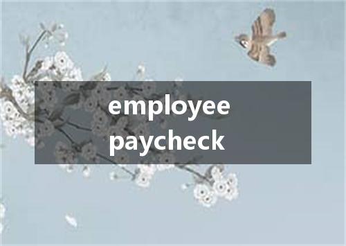 employee paycheck是什么意思