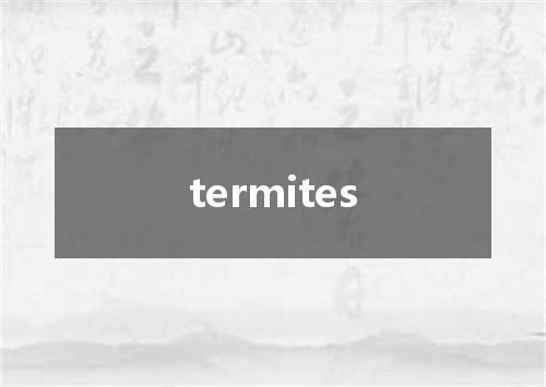 termites是什么意思