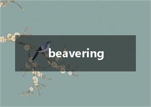 beavering是什么意思