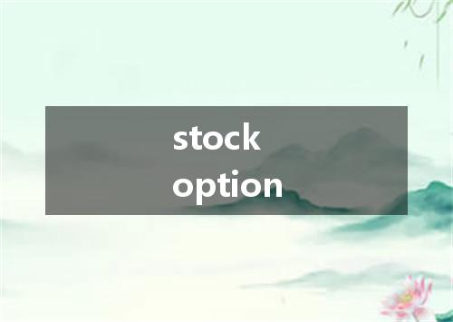 stock option是什么意思