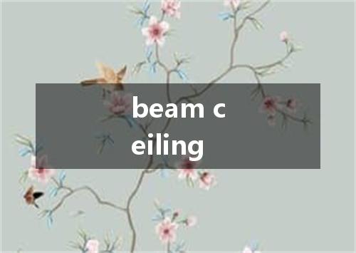 beam ceiling是什么意思