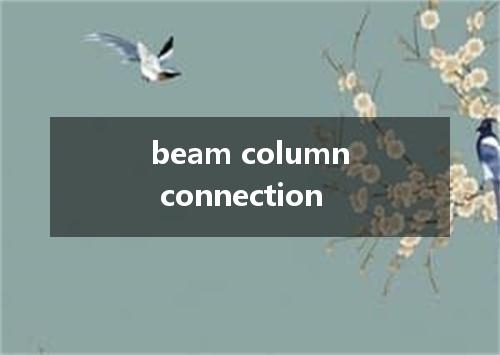 beam column connection是什么意思