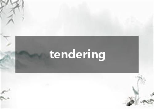 tendering是什么意思