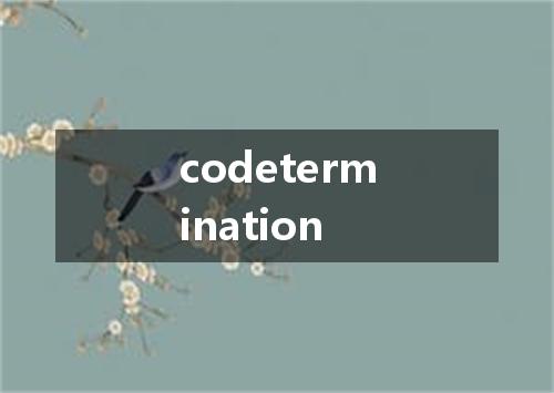 codetermination是什么意思